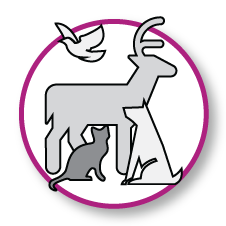 Heavenly-Visitors-Animal-Communication-Icon