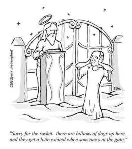 cartoon of the Pearly Gates with lots of dogs barking